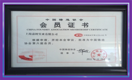 Member of China Foundry Association