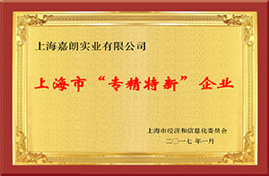 Shanghai “Specialized and Special” Enterprise
