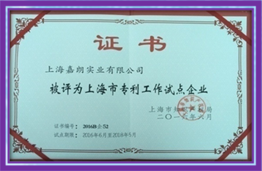 上海市专利工作试点企业